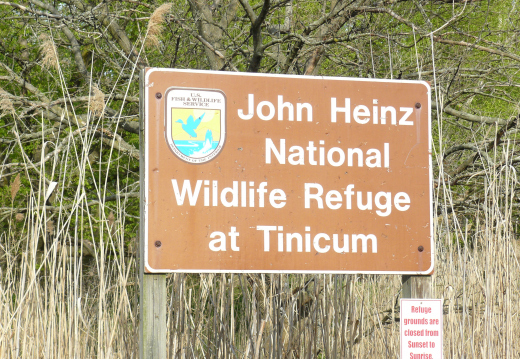 John Heinz National Wildlife Refuge