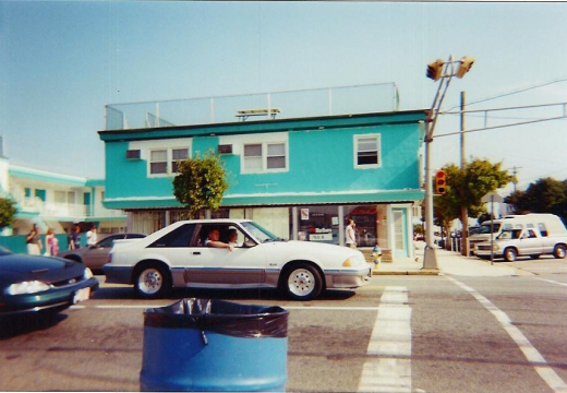 white mustang (775 visits) white mustang