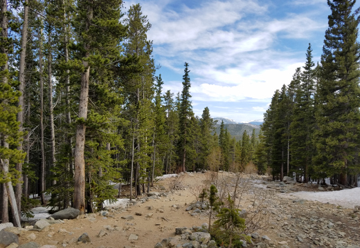 Idaho Springs
