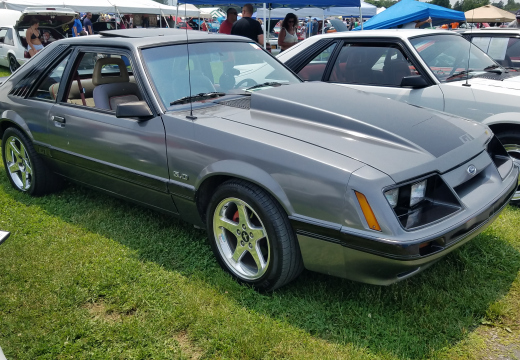 20190601 131501 (456 visits) 20190601 131501