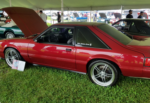 20190601 132032 (455 visits) 20190601 132032